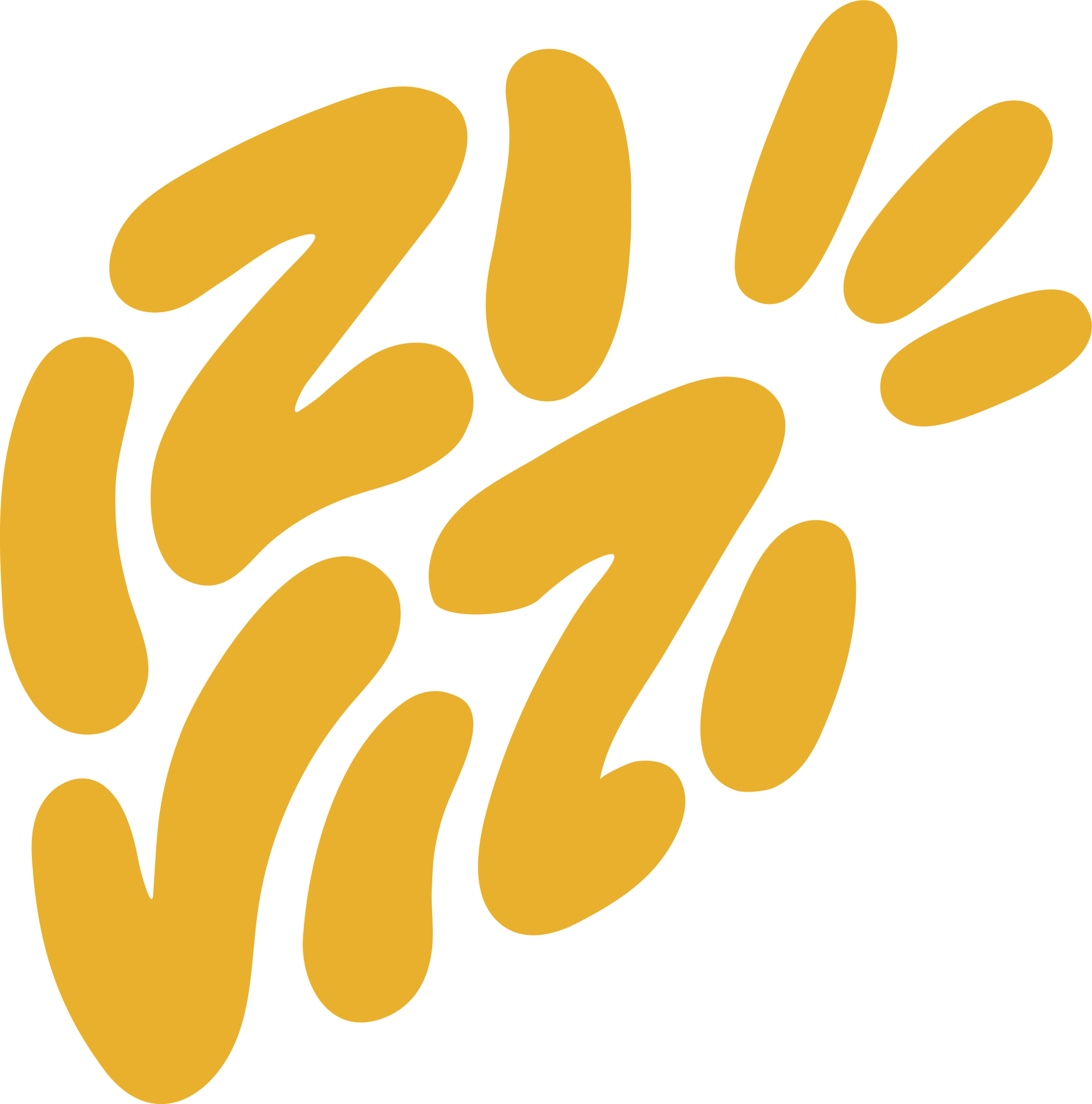 IZI VIZI, community manager à Wavre et dans le Brabant wallon